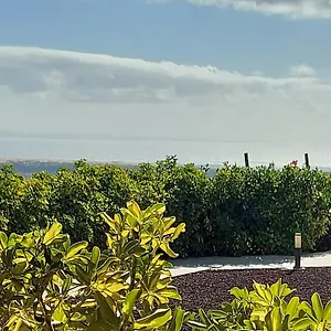 The Black Horse Canarias - Adults Only Landhaus Maspalomas (Gran Canaria)